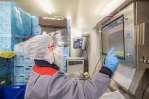 Green Factory anunţă achiziţia Eisberg România şi Eisberg Ungaria